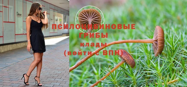спиды Киренск