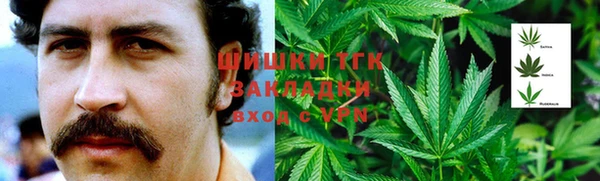 spice Киреевск