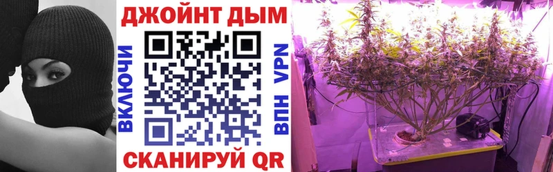 Купить закладки  Сибай  Шишки марихуана Ganja 